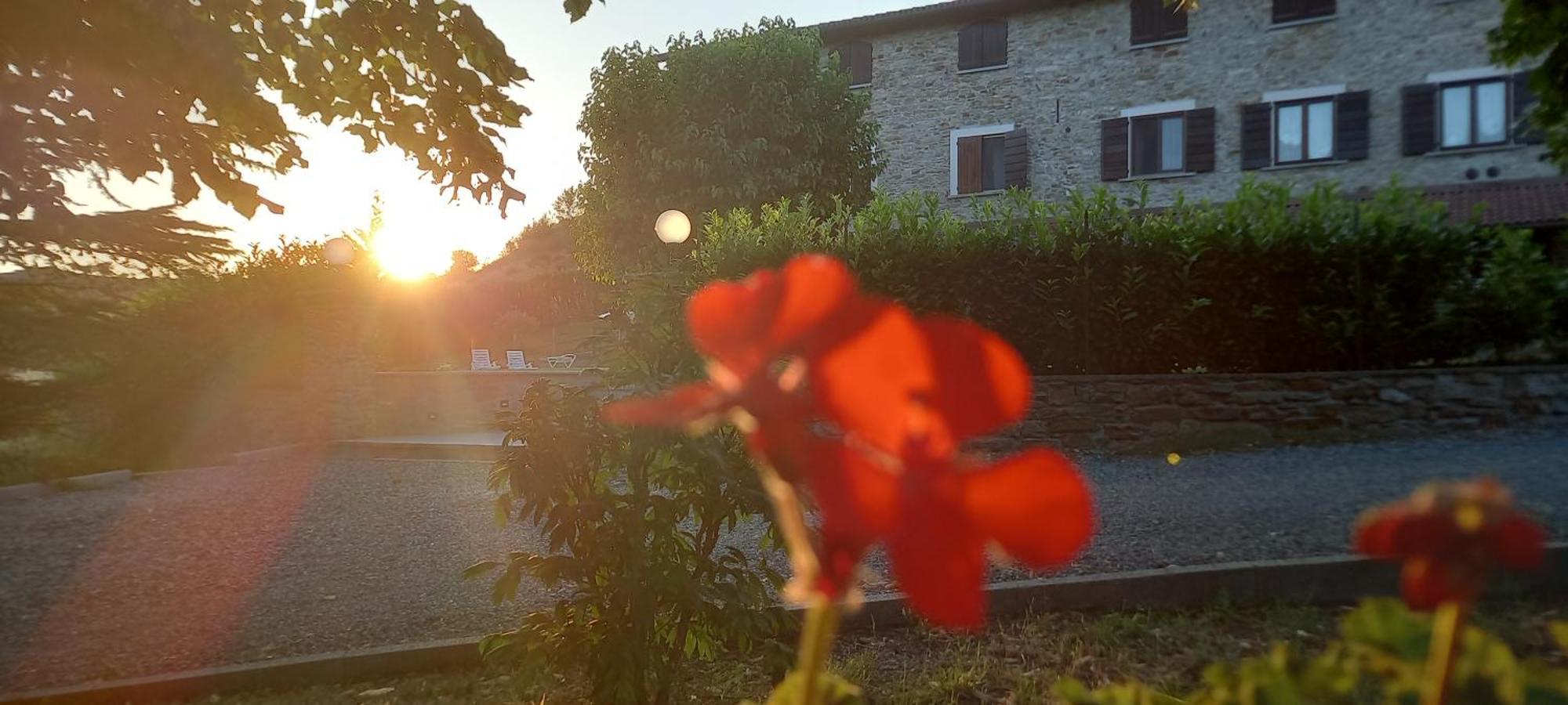 Cascina Il Gelso Bed & Breakfast Mornese Luaran gambar